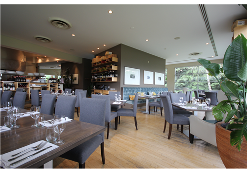 Crazyweed Kitchen Restaurant - Picture